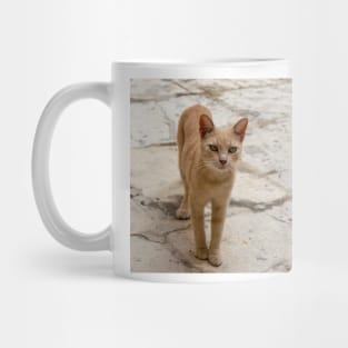 Stray ginger tabby cat Mug